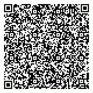 vCard 79100002739