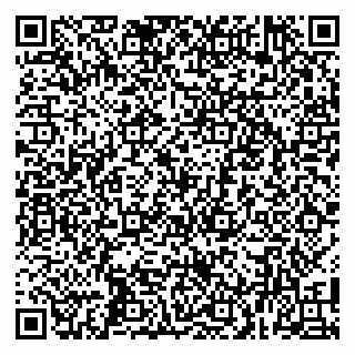 vCard 79100004013