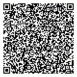vCard 79100004029