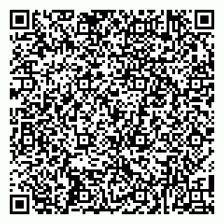 vCard 79100004033