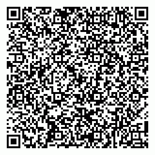 vCard 79100004035