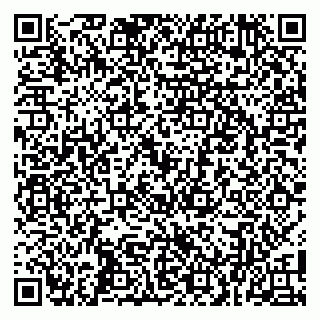 vCard 79100004041