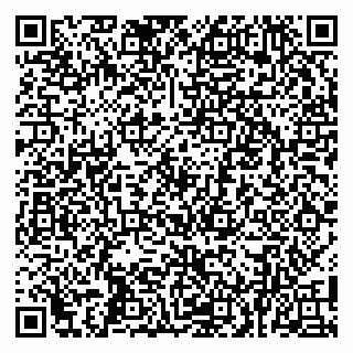 vCard 79100004065