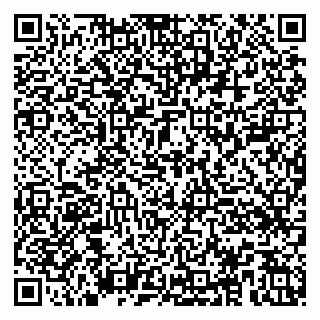 vCard 79100004096