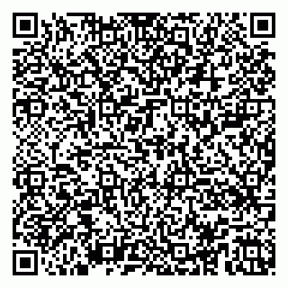 vCard 79100004121