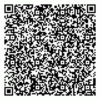 vCard 79100004131