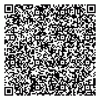 vCard 79100004141
