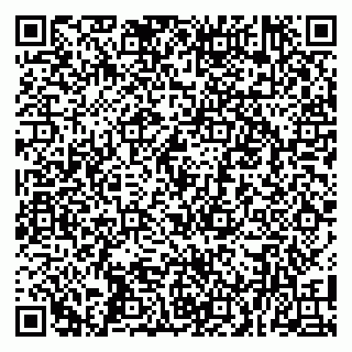 vCard 79100004153