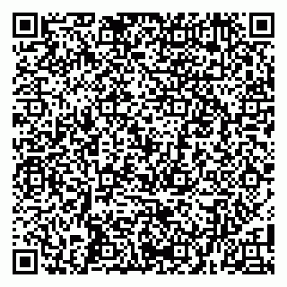 vCard 79100004199