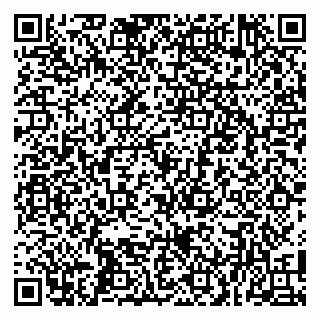 vCard 79100004253