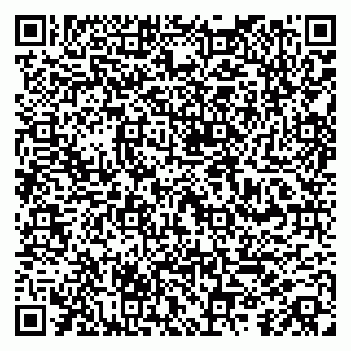 vCard 79100004294