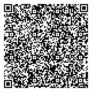 vCard 79100004331
