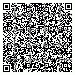 vCard 79100004339