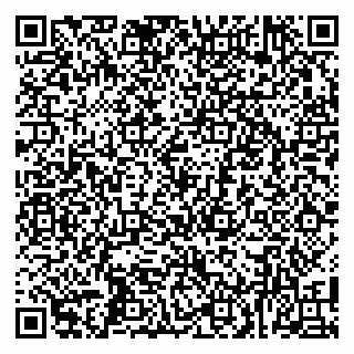 vCard 79100004533