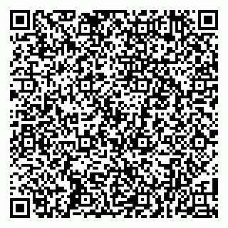 vCard 79100004541