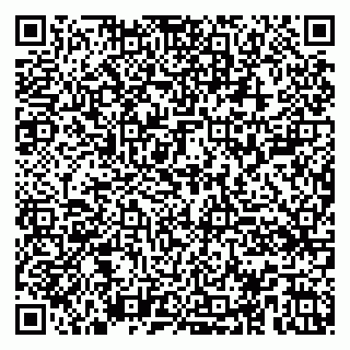 vCard 79100004733