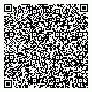 vCard 79100005033