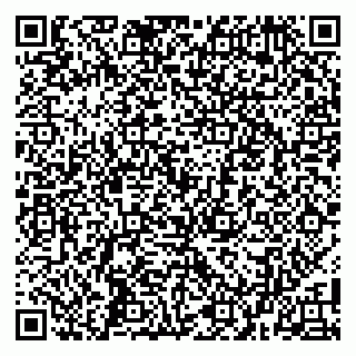 vCard 79100005089