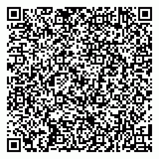 vCard 79100005253