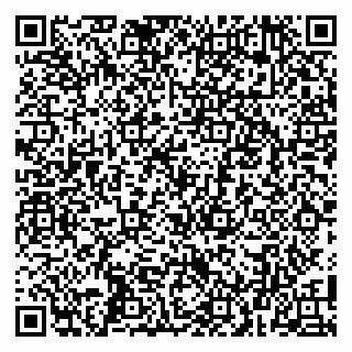 vCard 79100005301