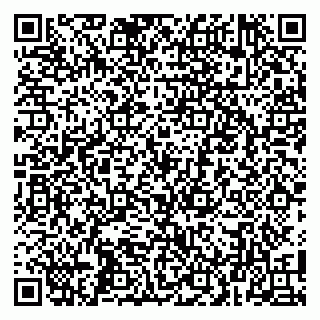 vCard 79100005303