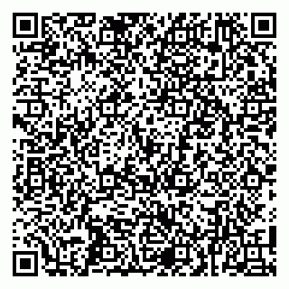 vCard 79100005322