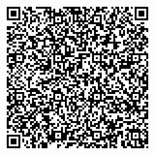 vCard 79100005329