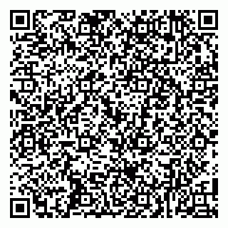 vCard 79100005331