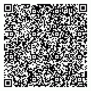 vCard 79100005348