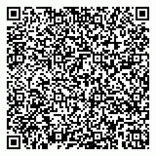 vCard 79100005378