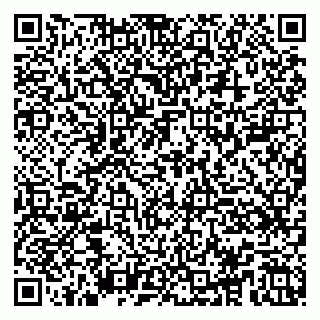 vCard 79100005385