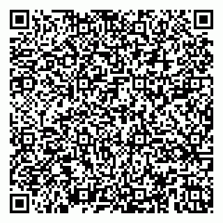 vCard 79100005533