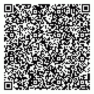 vCard 79100005541