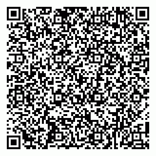 vCard 79100006131