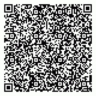 vCard 79100006541