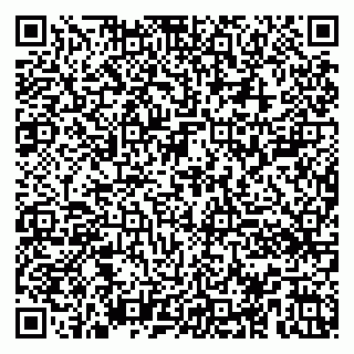 vCard 79100006733