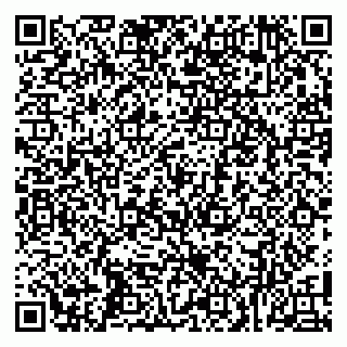 vCard 79100007331
