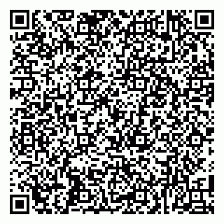 vCard 79100007333