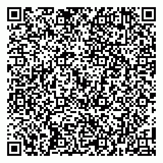 vCard 79100007381