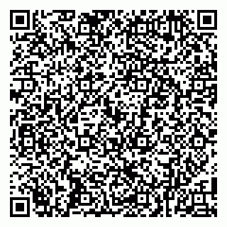 vCard 79100007629
