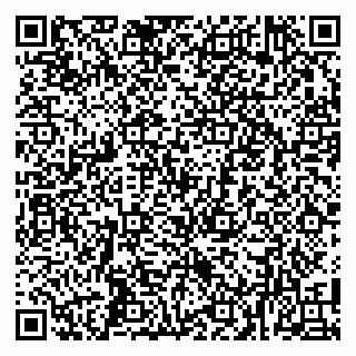 vCard 79100007733