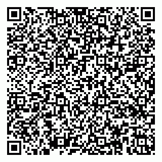 vCard 79100008013