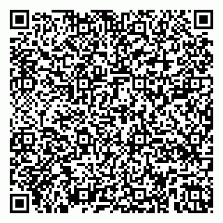 vCard 79100008131