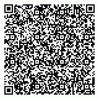 vCard 79100008533