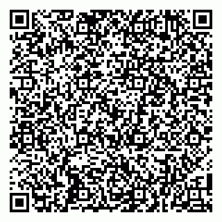 vCard 79100008541
