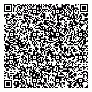 vCard 79100008573