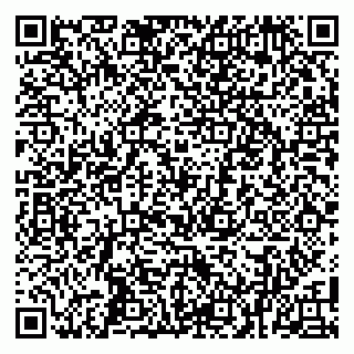vCard 79100008729