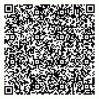 vCard 79100008733
