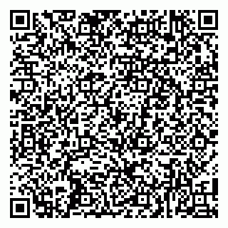 vCard 79100008933