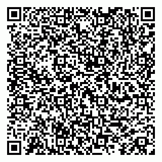vCard 79100009331